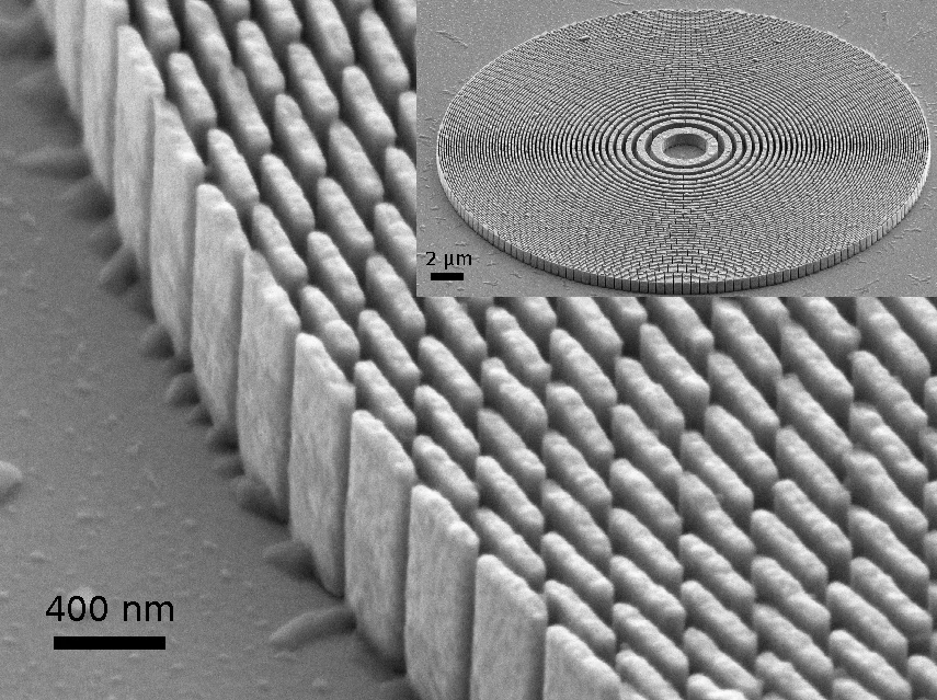 Fresnel zone plate (Gold, electroplating in PMMA mold)