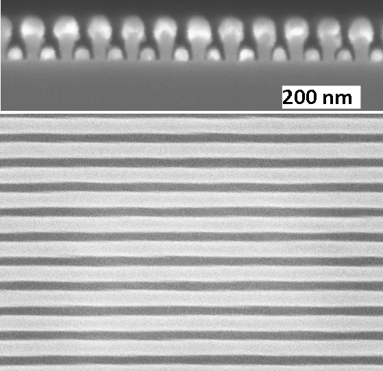 Top-down and cross-sectional SEM images of Al bilayer wire-grid polarizers.