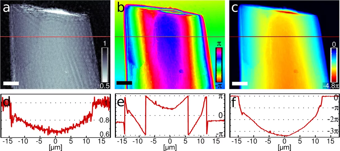 The first nano-CT pictures of a bone sample with a diameter smaller than a human hair (about 25 micrometers). Clearly visible are cross-sections through the so-called osteocyte lacunae, i.e. cavities in which bone-sustaining cells (osteocytes) reside (colored in blue in the picture) and their fine interconnection network (canaliculi) of about 100 nanometers.Copyright: M. Dierolf, P. Thibault, F. Pfeiffer / TU München Right of use: Free use for journalists in connection with the press release from Sept. 20,…