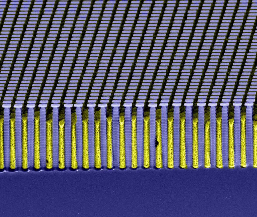 Le réseau d'absorption est composé d'or très absorbant qui a été précipité dans un moule en silicium (image acquis par microscopie électronique)