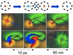 Experimente am SwissFEL sollen zeigen, wie genau die Magnetisierungsrichtung eines magnetischen Wirbels umgekehrt werden kann. Wie sich Theoretiker den Vorgang vorstellen, zeigt die Abbildung. In der Skizze oben stehen die farbigen Punkte für ein magnetisches Moment, das in die Bildebene hineinragt (rot) oder aus ihr herausragt (blau). Die schwarzen Pfeile stehen für Momente, die sich in der Ebene befinden. Um die Richtung des zentralen Moments umzukehren, erzeugt man ein Paar aus Wirbel und „Antiwirbel“, …