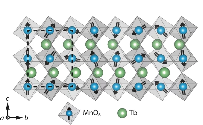 The arrangement of magnetic moments in TbMnO3.Neighbouring moments are tilted in respect to each other. There are two possible directions in which the moments can turn that might correspond to the two values of a bit in future storage devices.  Reprinted with permission from  Kubacka et al., Science Express (2014)  DOI: 10.1126/science.1242862