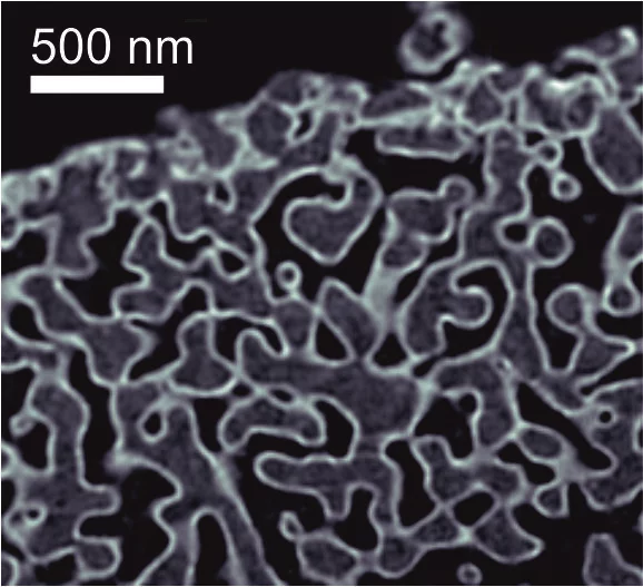 Ein Schnitt durch das Tomogramm der untersuchten Glassprobe. In dem Glas befinden sich Luftporen, die von Innen mit Tantaloxid Ta2O5 beschichtet sind. In dem Bild ist das Glass grau, die Luft schwarz und das Tantaloxid weiss dargestellt.