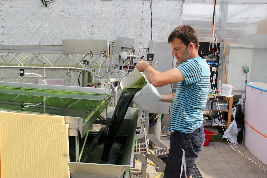 Dominik Refardt von der ZHAW bei der Arbeit am Algenbioreaktor. Foto: ZHAW.