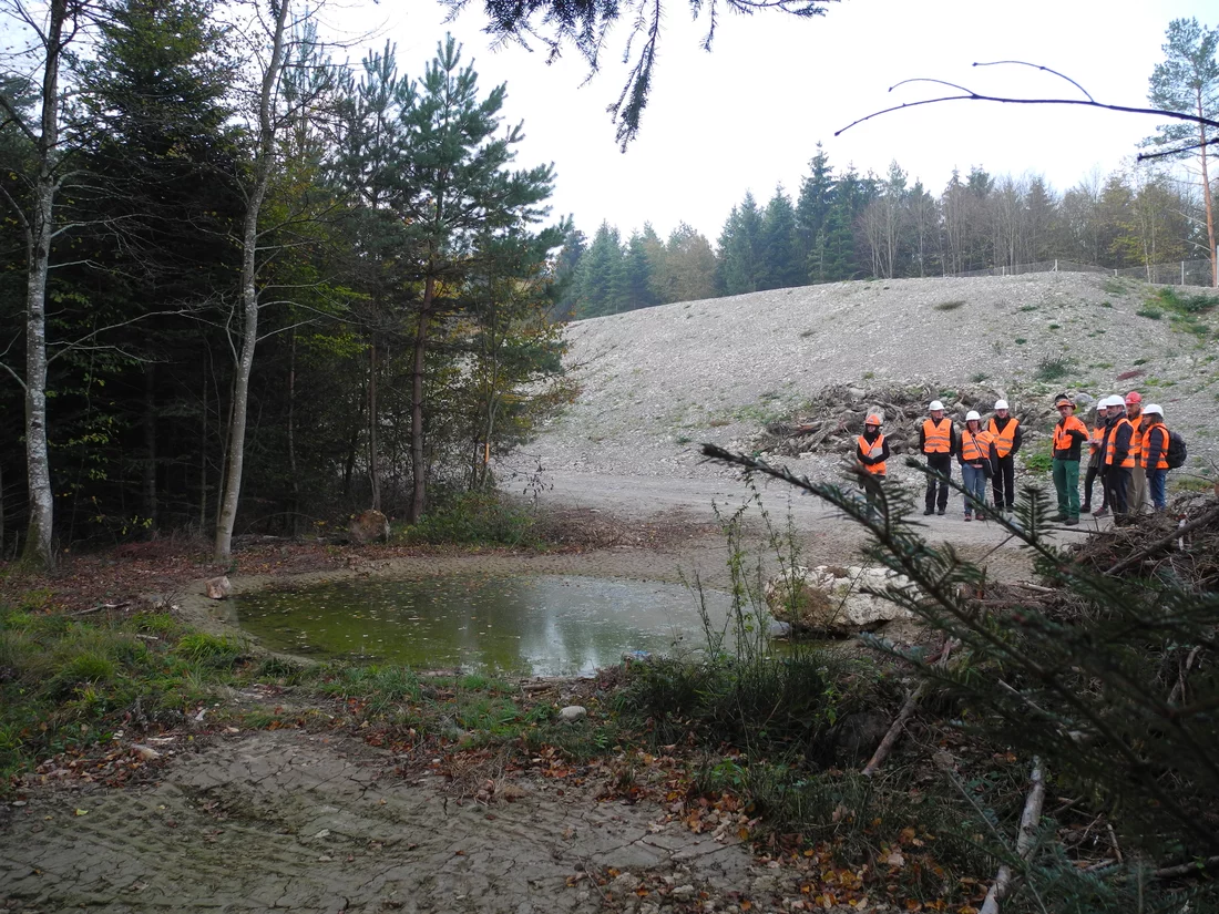 Die Arbeitsgruppe Wald inspiziert einen der eigens für die gefährdeten Amphibien angelegten Laichtümpel. (Foto: Paul Scherrer Institut/Christian Heid)
