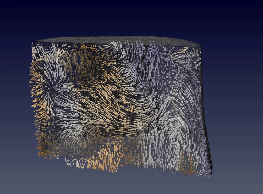 Une coupe verticale virtuelle de l'échantillon révèle sa structure magnétique interne. L'échantillon cylindrique a un diamètre de 0,005 millimètres (5 micromètres) et la coupe que l'on découvre ici mesure 0,0036 (3,6 micromètres) de hauteur. La structure magnétique est illustrée par des flèches. La couleur de chaque flèche indique par ailleurs si cette dernière est orientée en direction du spectateur (orange) ou dans la direction opposée (violet). (Illustration: Institut Paul Scherrer/Claire Donnelly)
