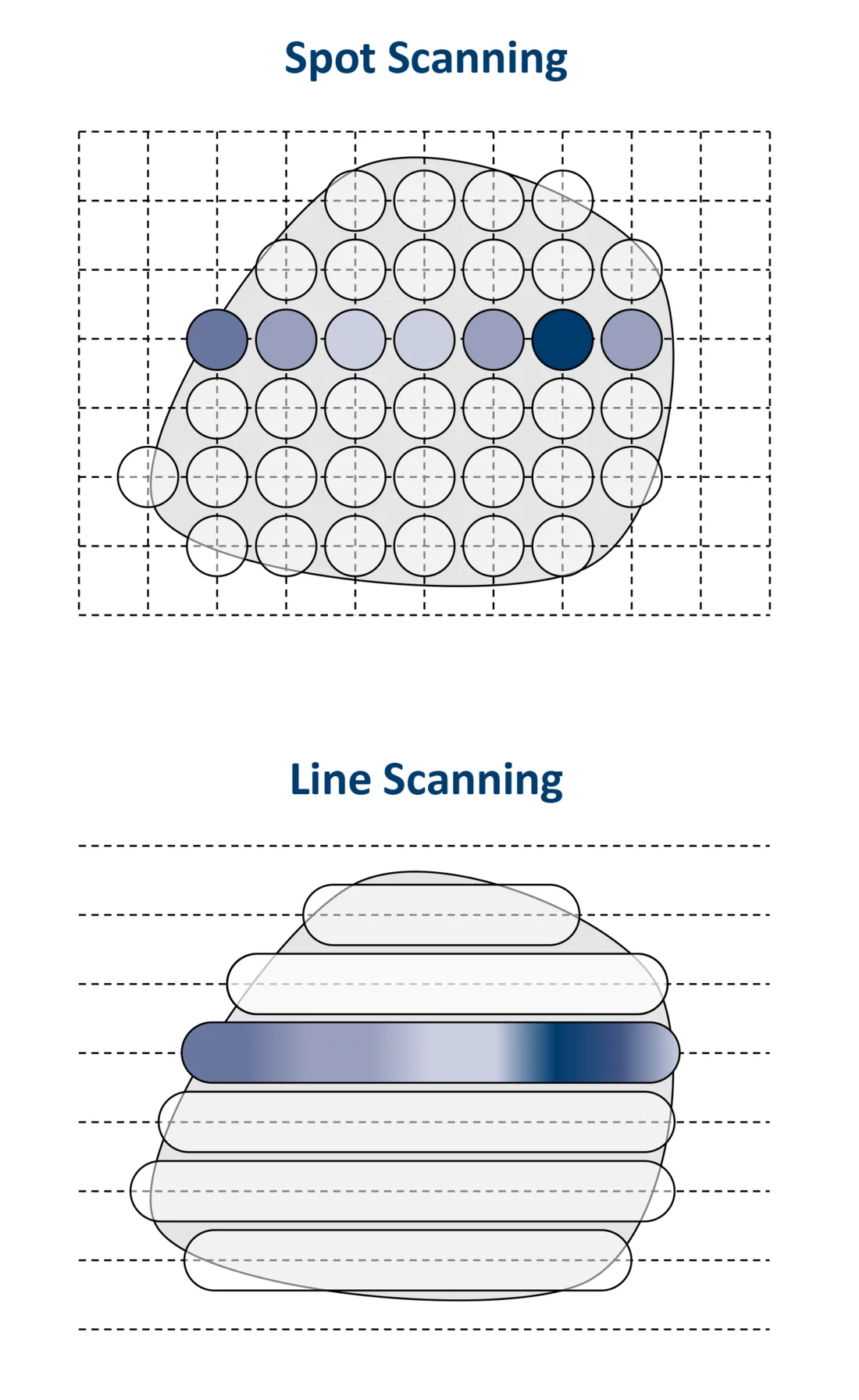 The spot-scanning technique irradiates the tumour point-by-point. Since the proton beam must be briefly switched off between each spot irradiation researchers at the Centre for Proton Therapy aim to achieve a faster form of treatment by reducing the number of radiation pauses. Line-scanning enables just this: following straight lines, the proton beam is continuously directed through the tumour. Target accuracy and dosage of the treatment remains identical. (Graphics: Paul Scherrer Institute/Grischa Klimpki)
