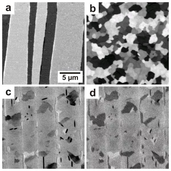 Figure 2.  In-plane crystallinity of the different methods. STXM images for bulk molecule orientation of: a) zone-cast film, b) evaporated film, and c) evaporated film on a zone-cast template; (d) shows the surface molecule orientation of (c).