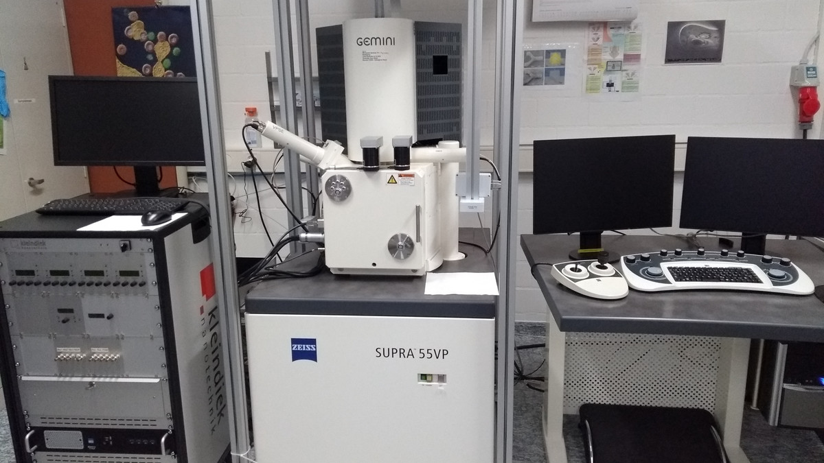 Zeiss VP55 Scanning electron microscope
