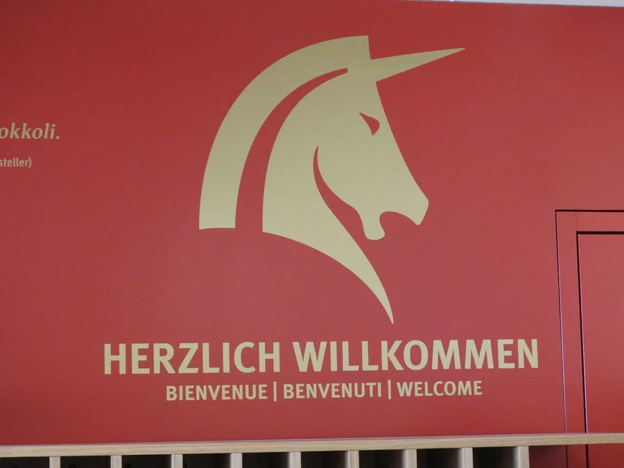 Berufsbildungsausflug 2019