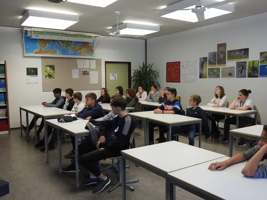 Kreisschule Surbtal 2019