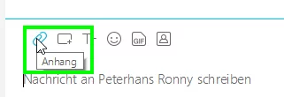 webex19.png