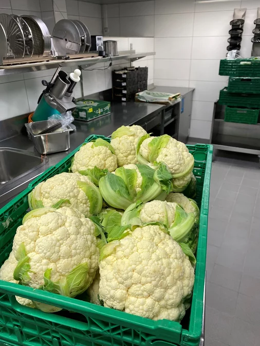 2021 Lasagne - Blumenkohl