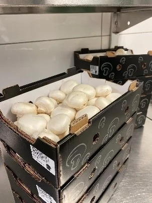 2021 - Lasagne - Champignons
