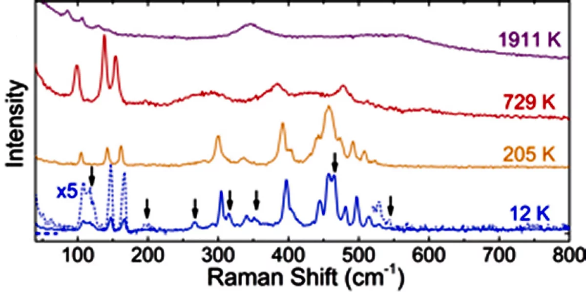 Raman spectroscopic evidence for multiferroicity in rare earth ...