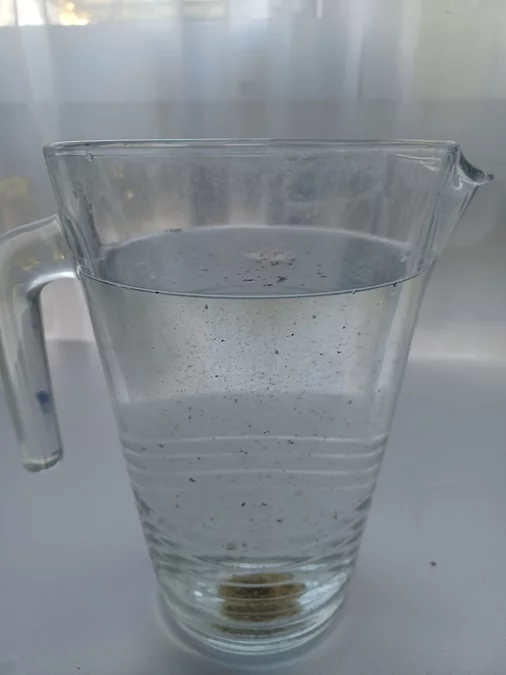 HO-Tag eines CH-Lernenden