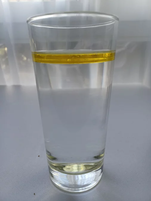 HO-Tag eines CH-Lernenden