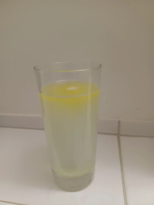 HO-Tag eines CH-Lernenden