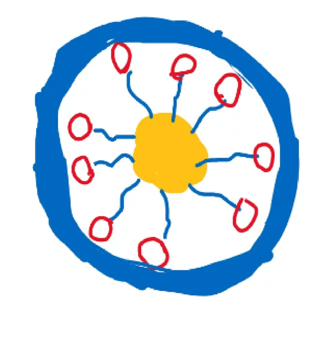 HO-Tag eines CH-Lernenden