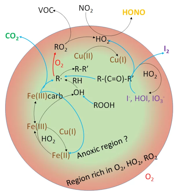 Aerosol Multiphase Photochemistry