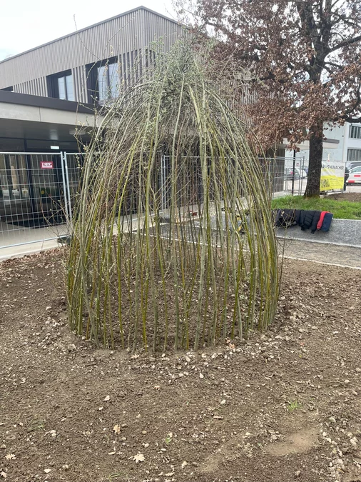 Umgebung Nanolino