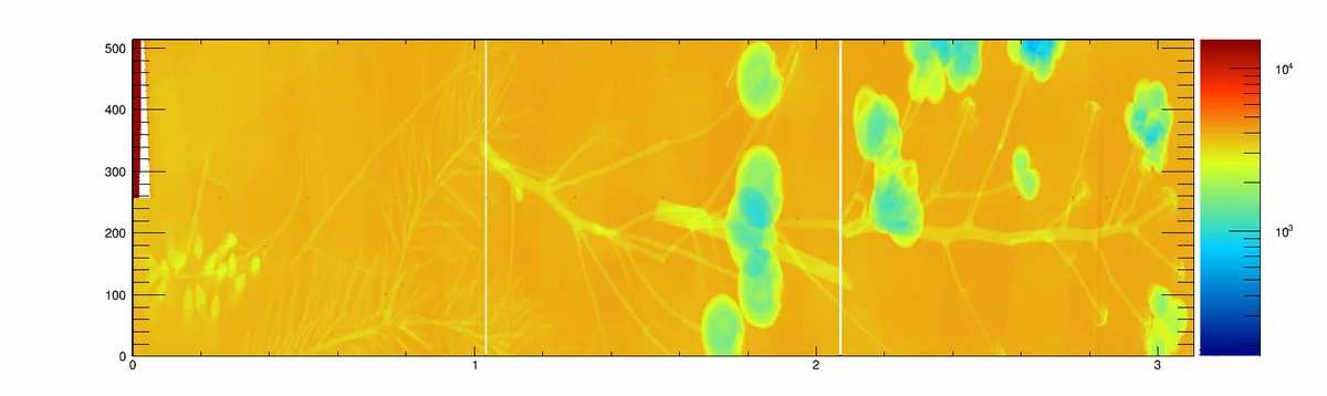 Image of a floral composition collected with the 1.5M EIGER system, flat field corrected.