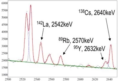Spent fuel delayed gamma experimental signal