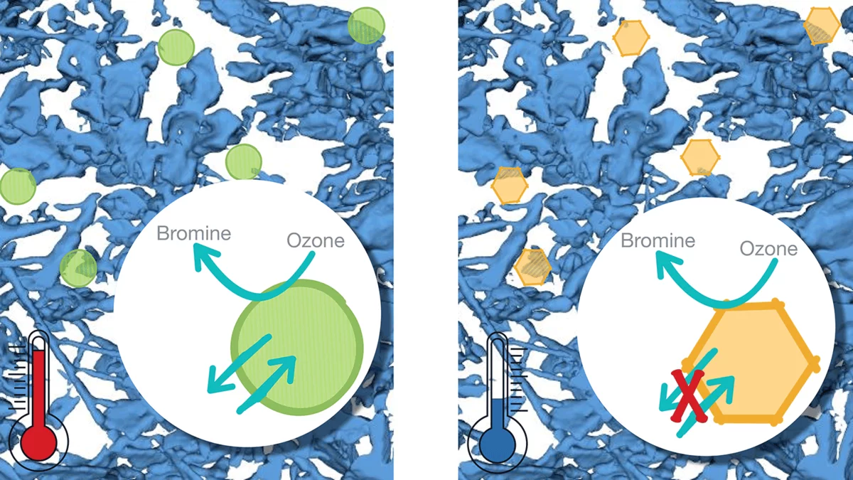The phase of aerosol particles in snow changes with decreasing temperatures from liquid (green circles) to solid (yellow hexagons). As consequence, reactive processes in the bulk would become less feasible, while surface reactions occur remain in operation. (3-dimensional µCT reconstruction of snow: Schneebeli, WSL-SLF Davos).