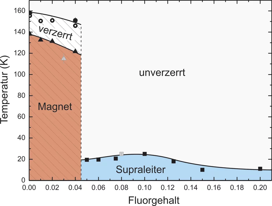 In den neuartigen Eisen-basierten Supraleitern wird Supraleitung durch die Zugabe des Elements Fluor induziert. Die ursprünglich magnetische Substanz mit verzerrter Kristallstruktur ändert bei einem kritischen Fluorgehalt abrupt ihre Eigenschaften. Der Magnetismus und die strukturelle Verzerrung verschwinden und das Material wird supraleitend. Entscheidend für das Auftreten der Supraleitung ist somit das Unterdrücken des Magnetismus und nicht wie bisher vermutet der graduelle Übergang zwischen diesen beide…