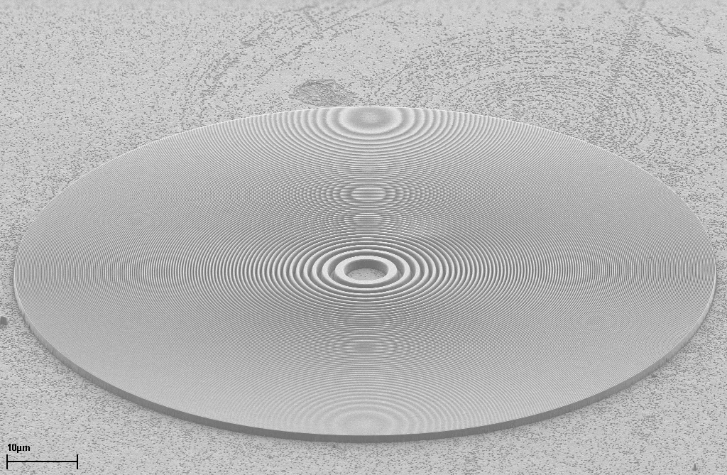 REM-Aufnahme der Zonenplatte. Der Durchmesser der gesamten Zonenplatte beträgt 0,5 Millimeter.  (REM-Aufnahme)