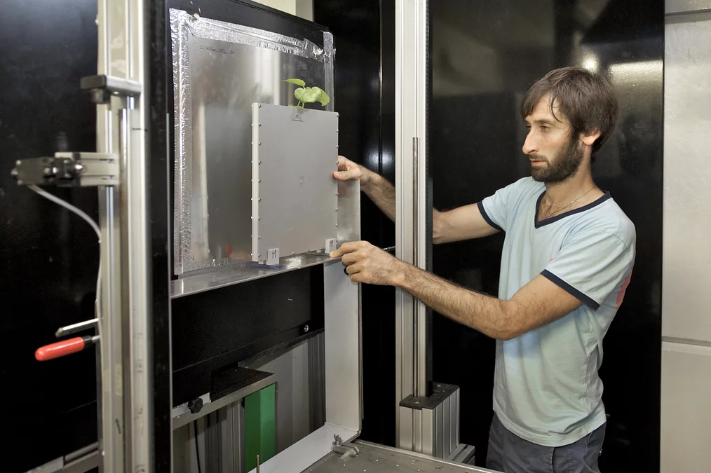 Andrea Carminati montiert eine Pflanze für die Untersuchung an der Neutronentomografieanlage Neutra am PSI.