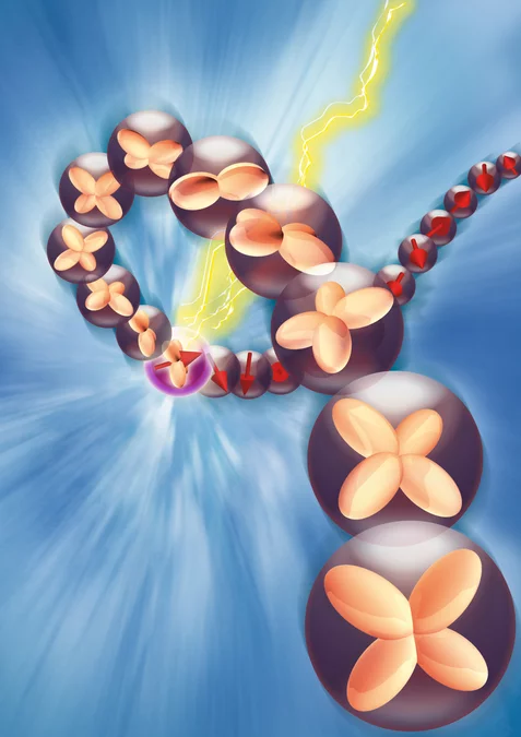 Künstlerische Darstellung des Zerfalls eine Elektrons in ein Spinon und ein Orbiton. (Grafik: David Hilf, Hamburg)