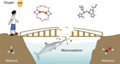 Manoj Nature Catalysis