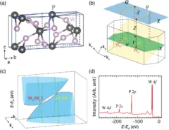 Type-II Weyl semimetal WP2