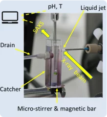 In Situ Liquid SAXS Studies on the Early Stage of Calcium Carbonate Formation