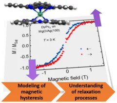 Magnetic hysteresis of DyPc2/MgO