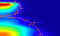 Magnetic order in a superconductor