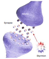 Sketch of a skyrmion synapse