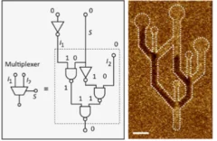 Domain wall logic gate