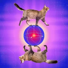 Cat Qubit 2