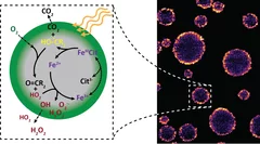 X-ray images reveal near-surface oxidation and radicals in the interior of submicrometer particles.