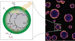 X-ray images reveal near-surface oxidation and radicals in the interior of submicrometer particles.