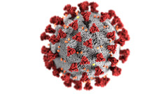 Das Pandemievirus Covid-19 (Foto: Alissa Eckert, MS, Dan Higgins, MAMS)