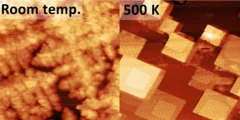 Lithium Fluoride on Ag(100): Dendrites vs. Islands