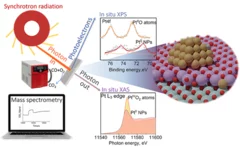 The evolution of atomically dispersed platinum species on ceria has been investigated by means of ambient pressure X-ray photoelectron spectroscopy and X-ray absorption near edge structure spectroscopy. Experimental results, supported by the theoretical simulation of the phase diagram, show that atomically dispersed species evolve towards nanoparticles during the activation of the catalysts. Such an evolution is influenced by the temperature and the reaction environment. 