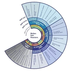 msr_taxonomy.jpg