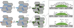 Evolution of the catalyst during the pretreatment and postulated reaction mechanism in the dry reforming of methane