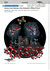 angewandte_chemie_-_2022_-_wu_-_frontispiz