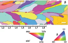 EBSD image of prior beta grains