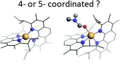 4 and 5 coordinated Cu complexes